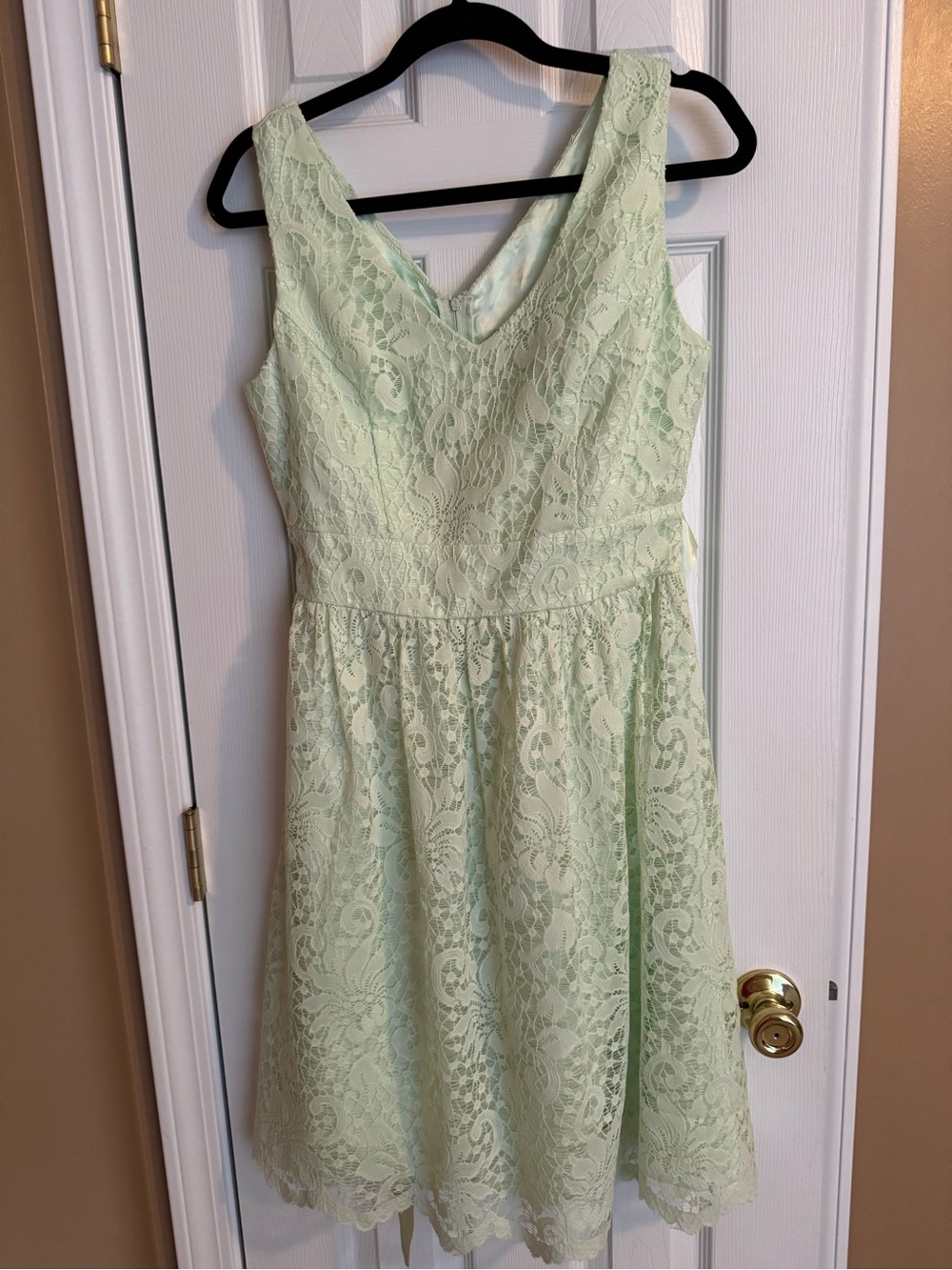 DG Establish 1962 light green lace dress